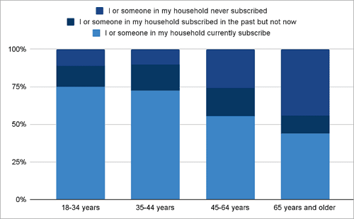 age ground statistic for netflix subscribers