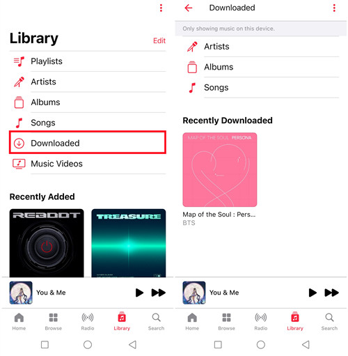 android apple music library downloaded