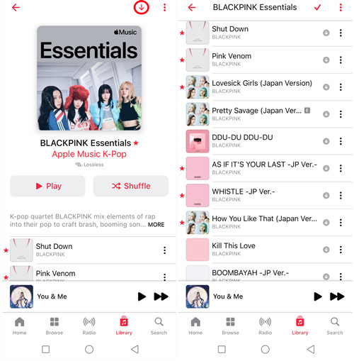 android apple music playlist download