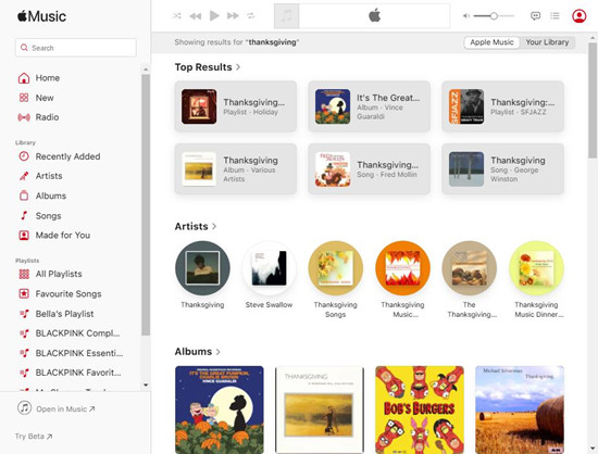 apple music web player main interface