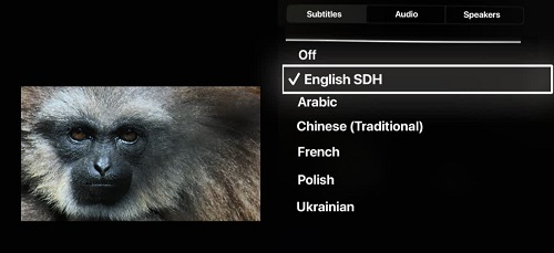 change netflix subtitles language on apple tv