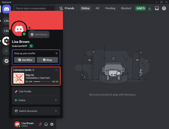 discord profile listening to spotify