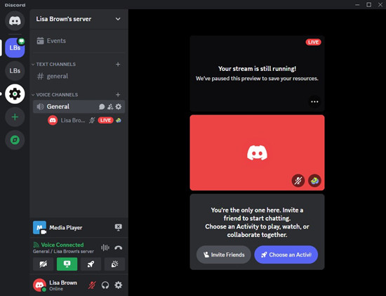 discord voice channel screen sharing