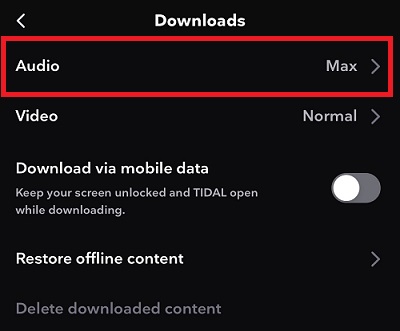 download audio settings on tidal