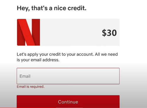 enter the netflix email address