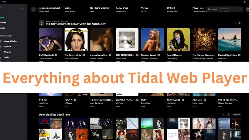 everything about tidal web player