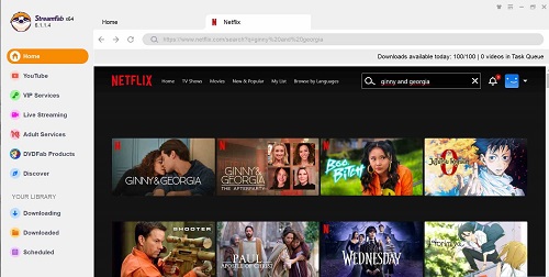 find netflix content to download on streamfab