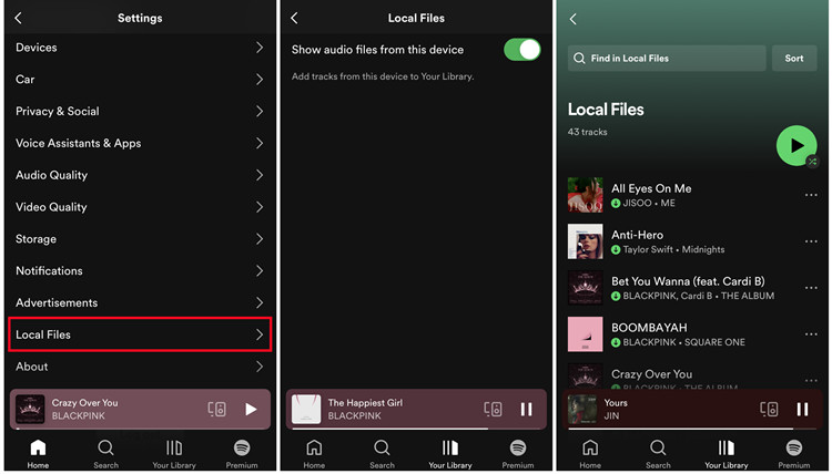 ios spotify local files show audio files from this device