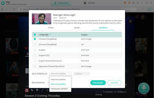 kigo netflix video downloader subtitles
