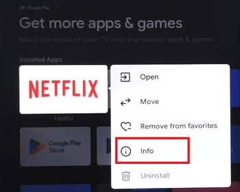 netflix app info on tv