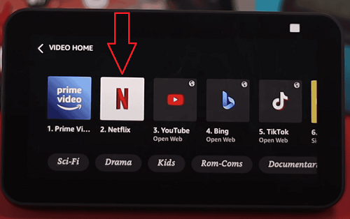 netflix app on echo show