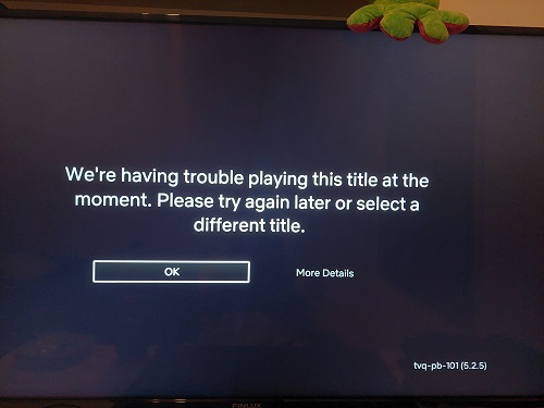 netflix issue