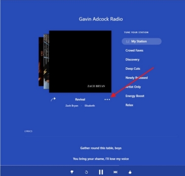 pandora playing screen