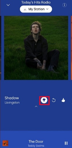 pandora thumbs down icon