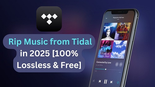 rip from tidal