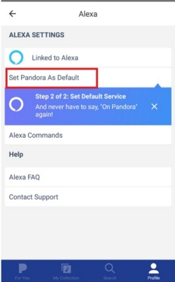 set default service pandora