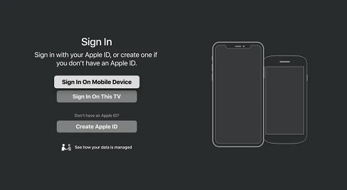 sign in apple id on firestick