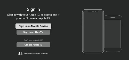 sign in your apple id on chromecast