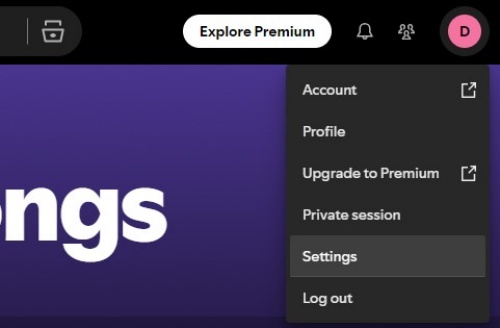 spotify desktop settings