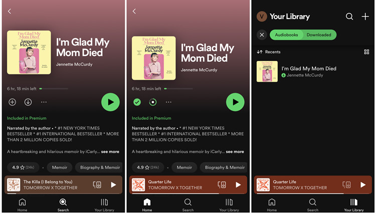 spotify mobile download audiobook