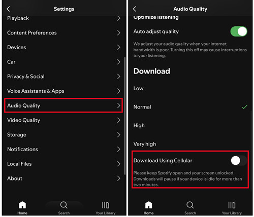 spotify mobile settings audio quality download using cellular