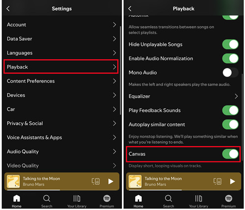 spotify mobile settings playback canva