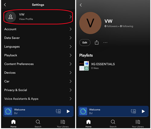 spotify mobile settings view profile