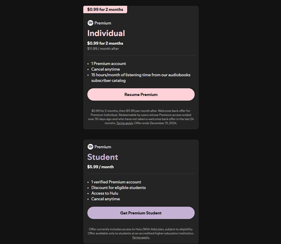 spotify premium plan individual