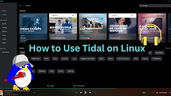 tidal for linux