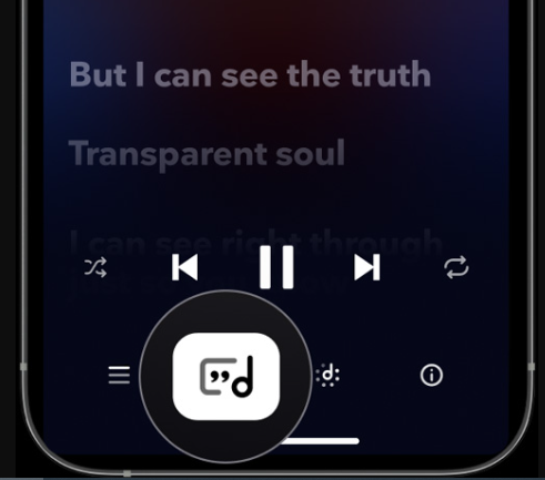 tidal lyrics icon