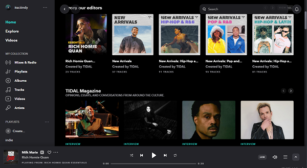 tidal web player