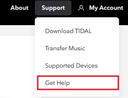 tidal website get help option