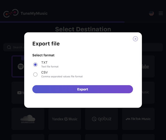 tunemymusic export file select formats