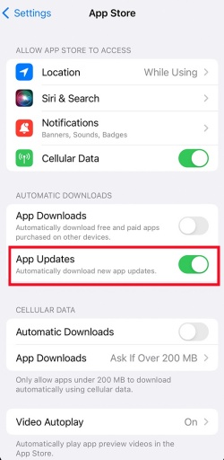 turn off app auto update ios