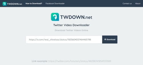 twdown.net paste link