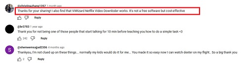 viwizard netflix video downloader feedback1