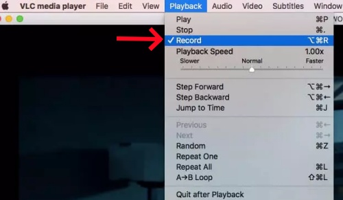 vlc playback record on mac