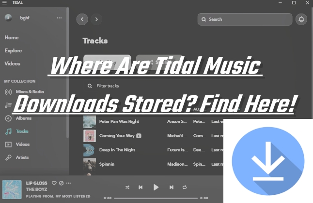 where is tidal music stored
