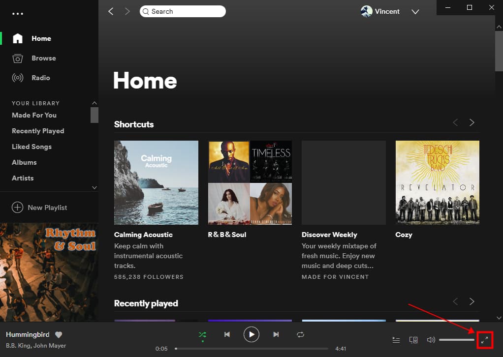 spotify fullscreen