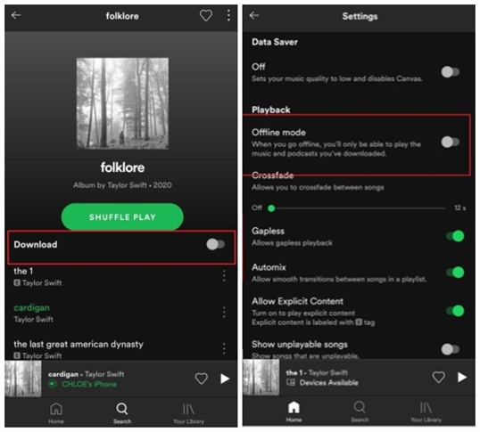 remove spotify downloads