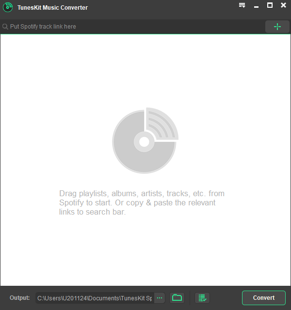 ViWizard spotify converter interface